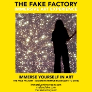 THE FAKE FACTORY immersive mirror room_00965