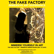 THE FAKE FACTORY immersive mirror room_00988