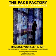 THE FAKE FACTORY immersive mirror room_01134