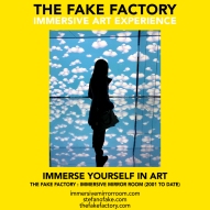 THE FAKE FACTORY immersive mirror room_01223
