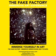 THE FAKE FACTORY immersive mirror room_01324