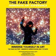 THE FAKE FACTORY immersive mirror room_01542